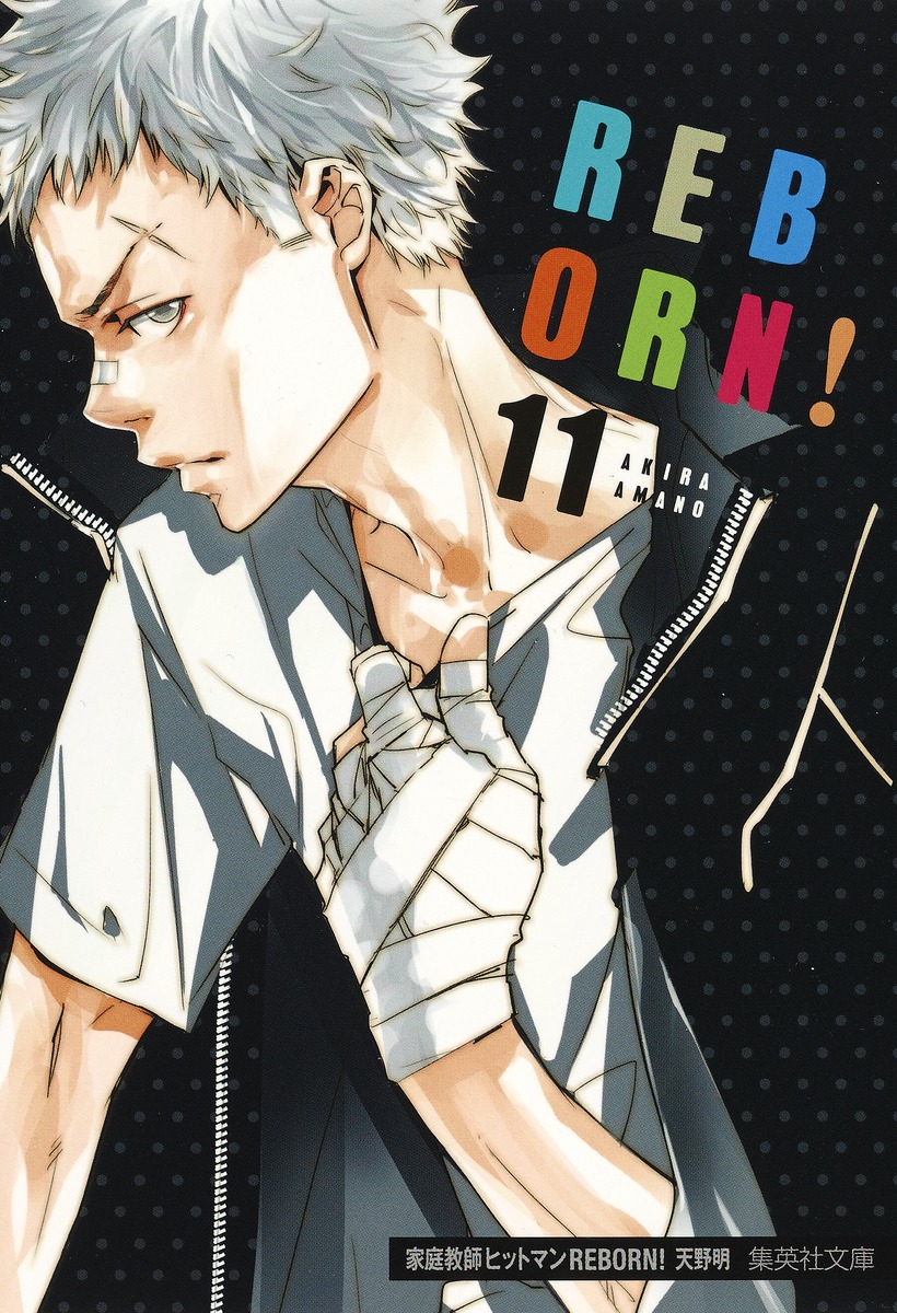 家庭教師ヒットマンREBORN! 11画像
