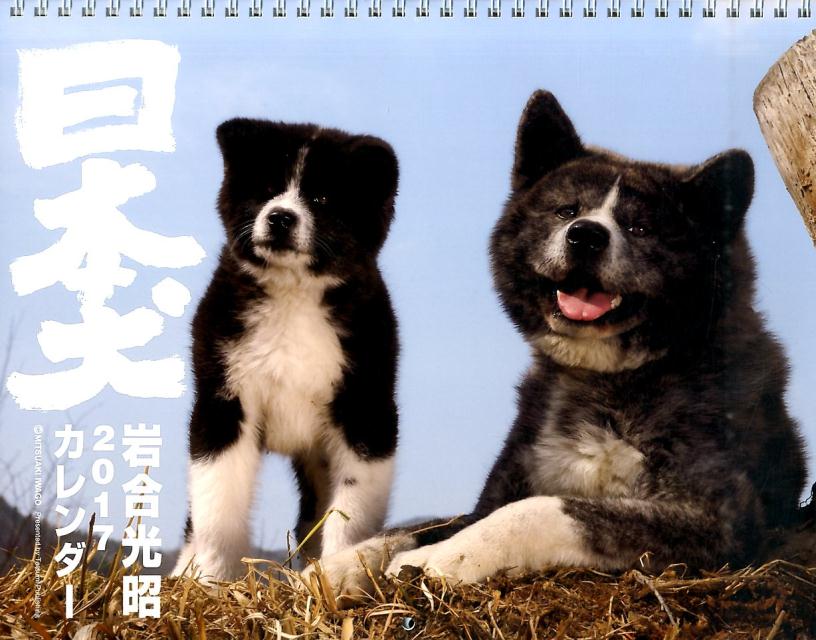 楽天ブックス 壁掛 岩合光昭 17カレンダー 日本犬 岩合光昭 本
