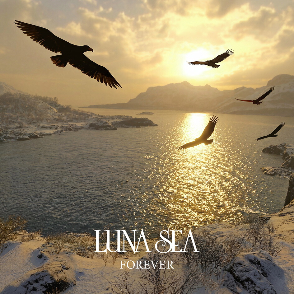 【楽天ブックス限定先着特典】FOREVER(ポストカード)[LUNASEA]