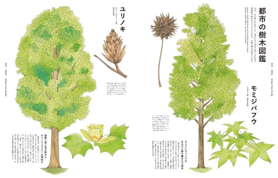 BetweentheForestandtheSeaFRaUSDGsMOOK���ȳ��������Ƥ���롢������Τ�����餷�ʹ��̼�MOOK��[���̼�]