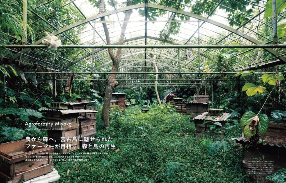 BetweentheForestandtheSeaFRaUSDGsMOOK���ȳ��������Ƥ���롢������Τ�����餷�ʹ��̼�MOOK��[���̼�]