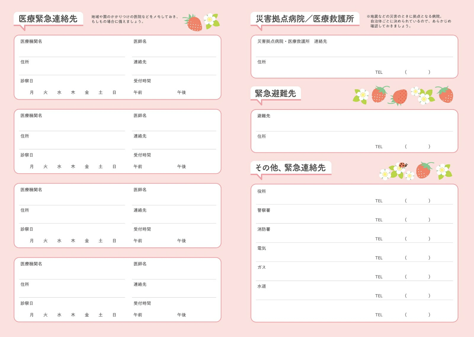 PriPriDiary2024．4-2025．3[PriPri編集部]