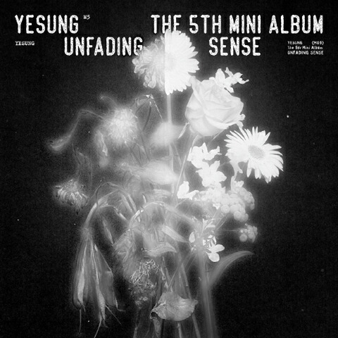 楽天市場】Yesung - The 1st Album 「Floral Sense」 Special ver