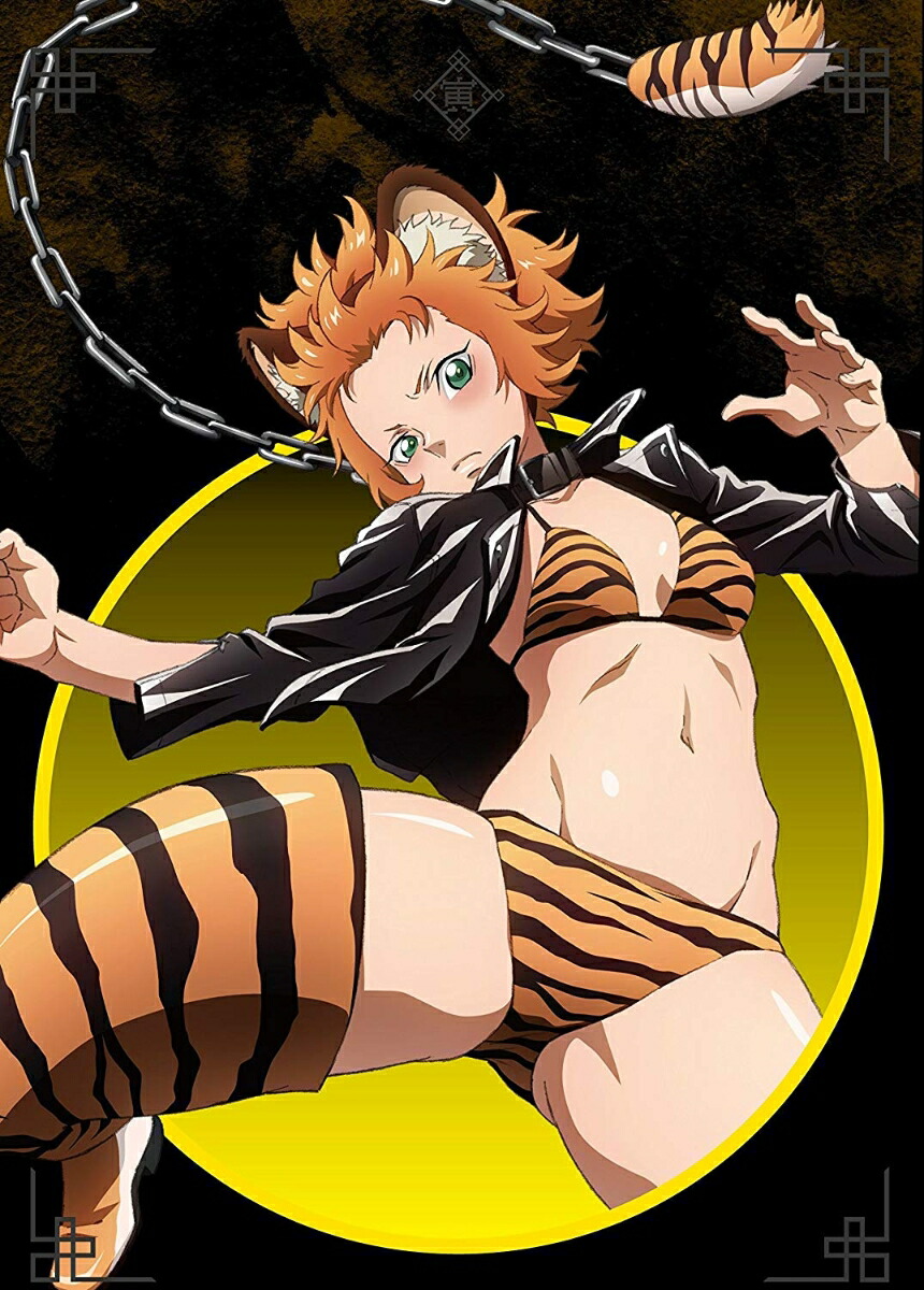 楽天ブックス 十二大戦 Vol 5 Dvd Dvd