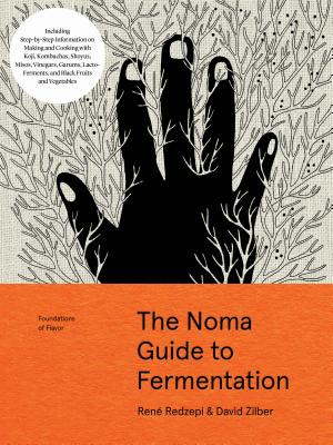 NOMAGUIDETOFERMENTATION,THE(H)[RENE/ZILBERREDZEPI,DAVID]