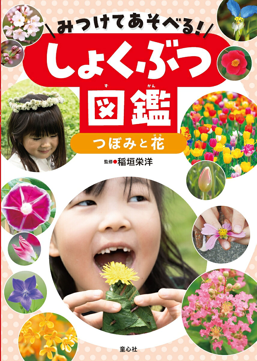 みつけてあそべる！しょくぶつ図鑑（全4巻）[稲垣栄洋]