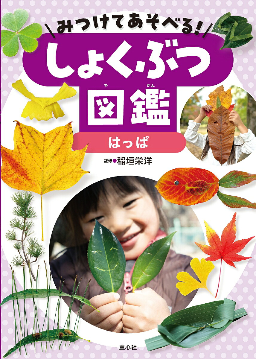 みつけてあそべる！しょくぶつ図鑑（全4巻）[稲垣栄洋]