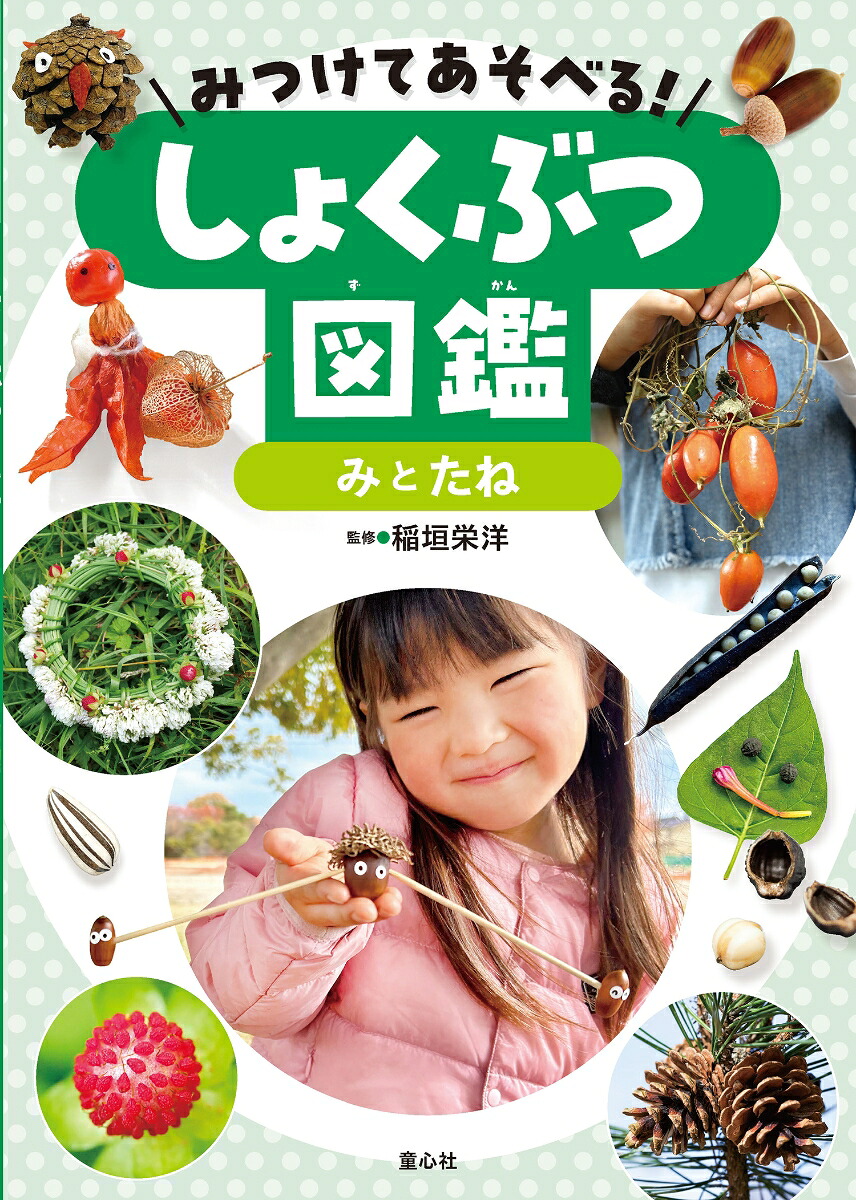 みつけてあそべる！しょくぶつ図鑑（全4巻）[稲垣栄洋]