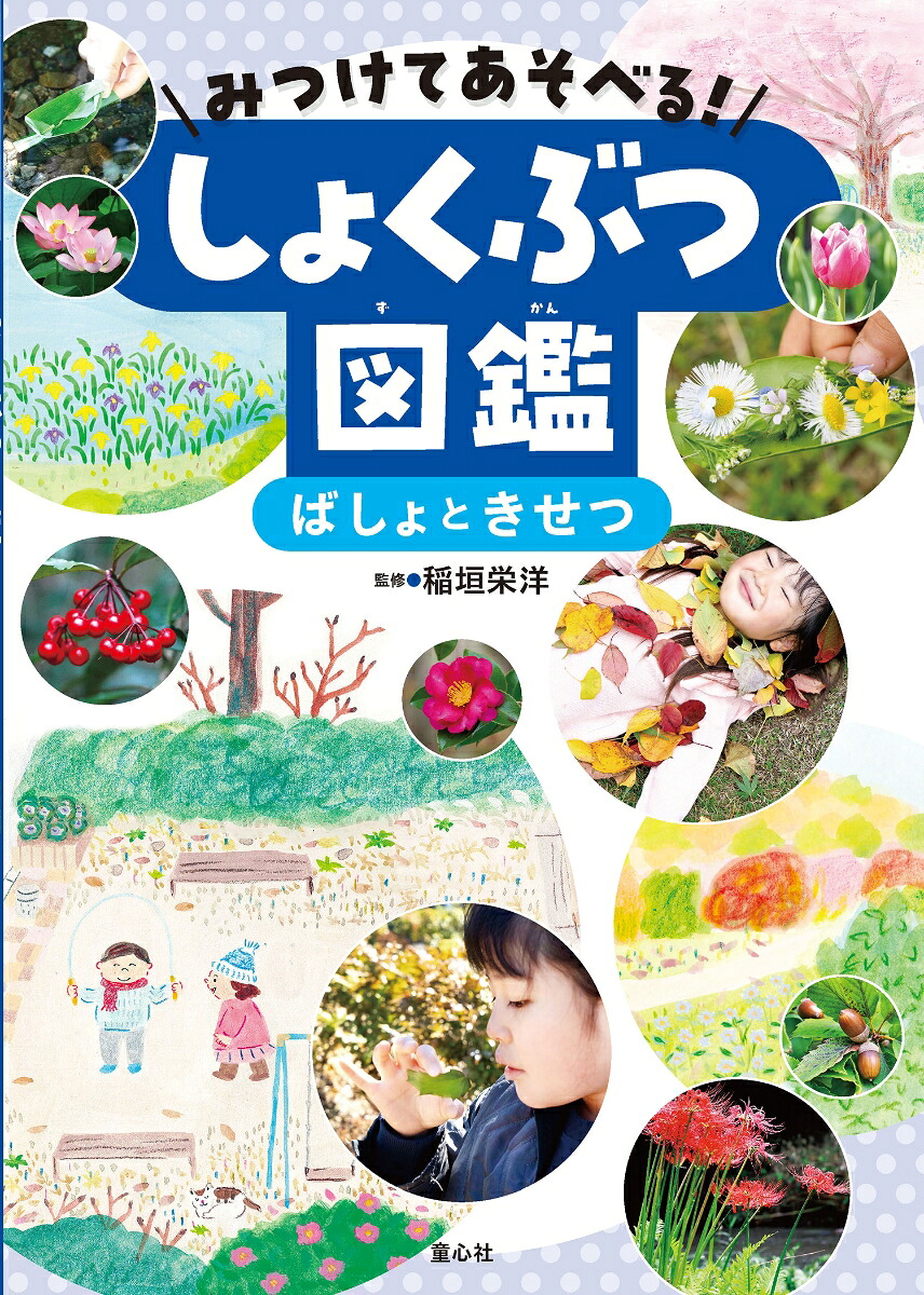 みつけてあそべる！しょくぶつ図鑑（全4巻）[稲垣栄洋]
