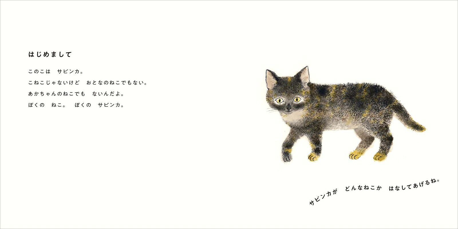 ぼくのサビンカ[ラデック・マリー]