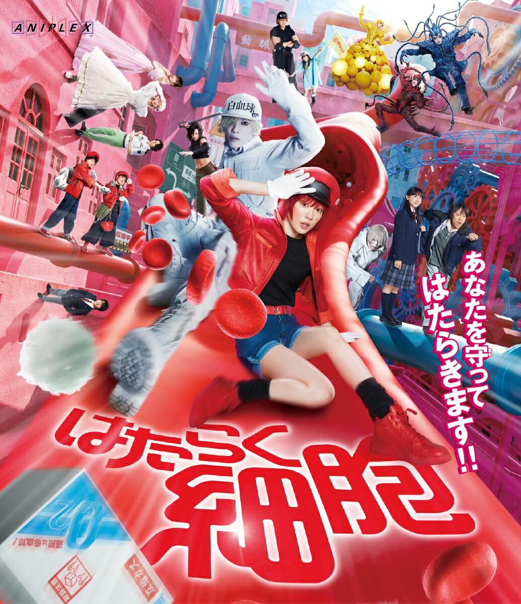 5/28ȯ�䡪�ǲ�ؤϤ��餯��˦��Blu-ray��DVD