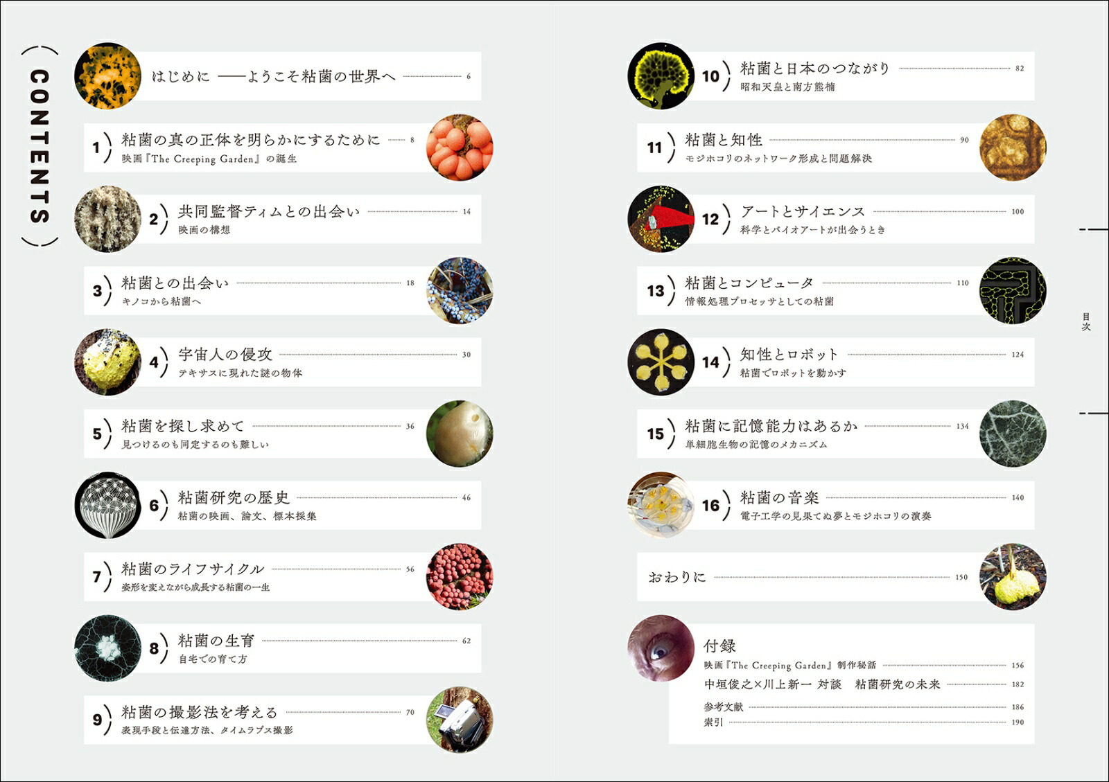 楽天ブックス 粘菌 知性のはじまりとそのサイエンス 特徴から研究の歴史 動画撮影法 アート 人工知能への応用まで ジャスパー シャープ 本