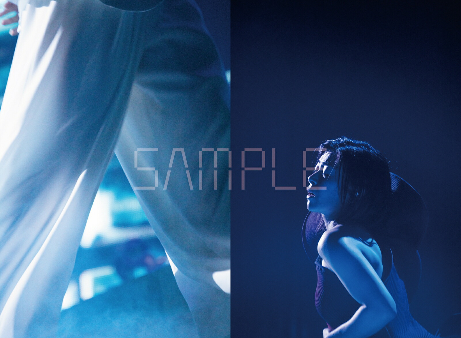 HIKARUUTADASCIENCEFICTIONTOUR2024NINESTORIES[宇多田ヒカル]