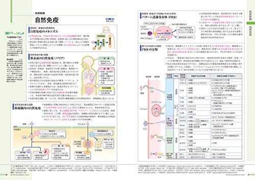 病気がみえる（vol.6）免疫・膠原病・感染症[医療情報科学研究所]