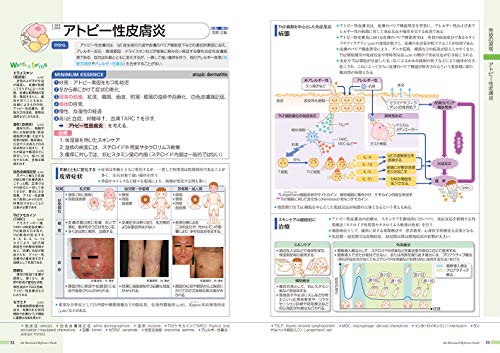 病気がみえる（vol.6）免疫・膠原病・感染症[医療情報科学研究所]