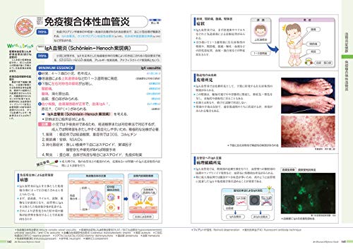 病気がみえる（vol.6）免疫・膠原病・感染症[医療情報科学研究所]