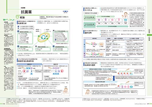 病気がみえる（vol.6）免疫・膠原病・感染症[医療情報科学研究所]