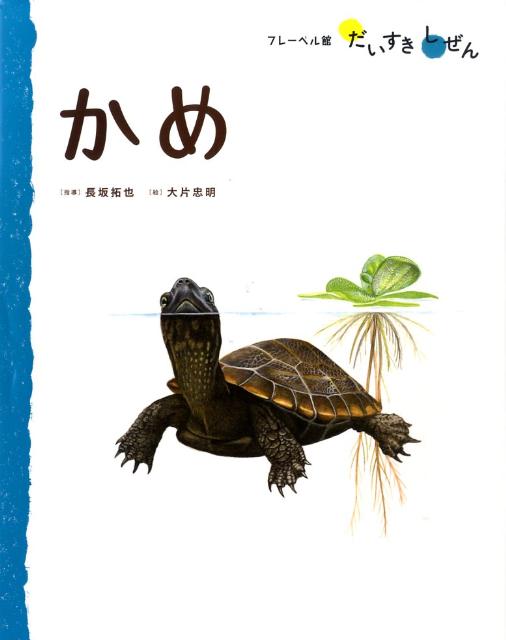 楽天ブックス: かめ - 長坂拓也 - 9784577037225 : 本