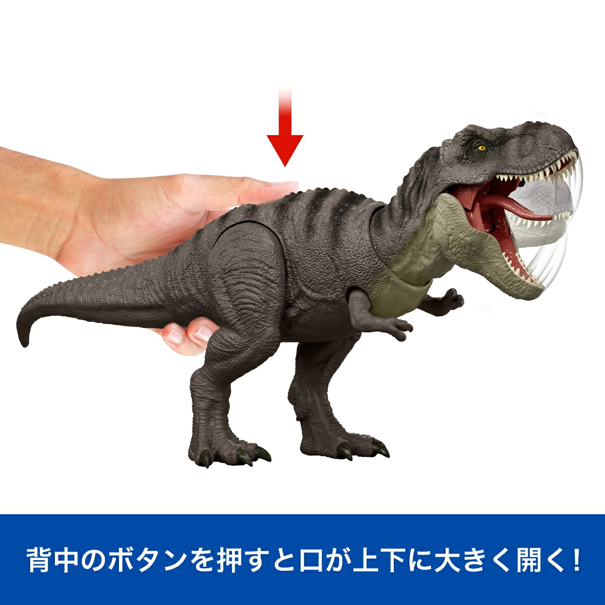 ޥƥ른饷å(JURASSICWORLD)ܽ⡪T-åҶե奢εĹ:46.4cm4Ф饰꡼JGM16