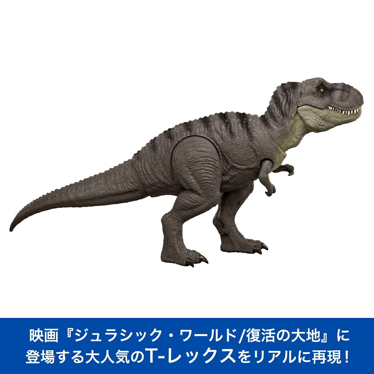 ޥƥ른饷å(JURASSICWORLD)ܽ⡪T-åҶե奢εĹ:46.4cm4Ф饰꡼JGM16