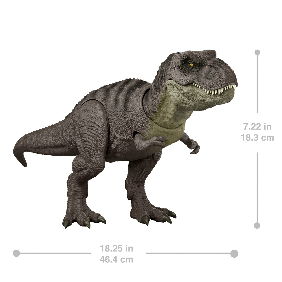 ޥƥ른饷å(JURASSICWORLD)ܽ⡪T-åҶե奢εĹ:46.4cm4Ф饰꡼JGM16