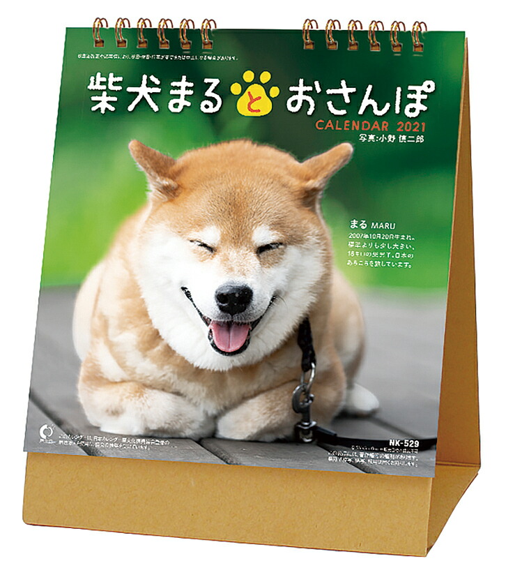 楽天ブックス 卓上 柴犬まるとおさんぽ 21年1月始まりカレンダー 本