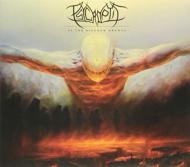 【輸入盤】As The Kingdom Drowns: Australian Exclusive Bonus Track Edition画像