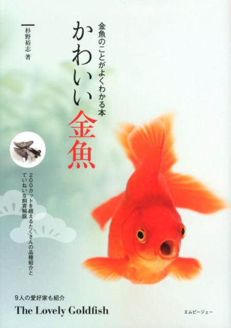 楽天ブックス かわいい金魚 金魚のことがよくわかる本 杉野裕志 本