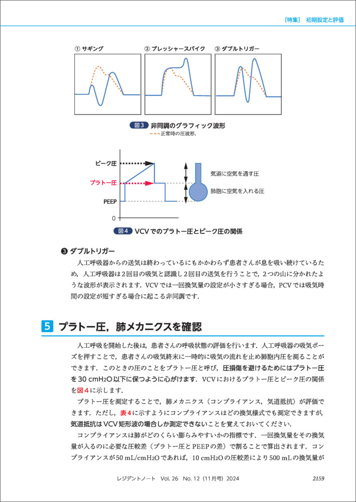 レジデントノート2024年11月号[金子教宏]