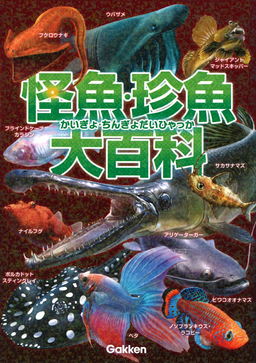 楽天ブックス 怪魚 珍魚大百科 本村浩之 本