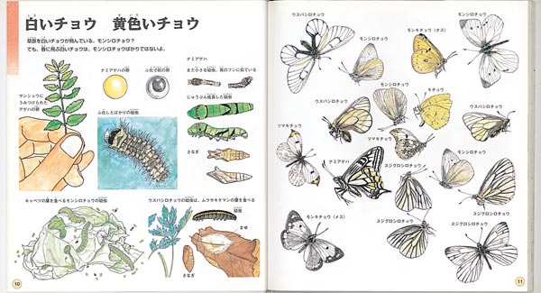 ܤΥ쥯Τʤʡۤβʳإ꡼[]