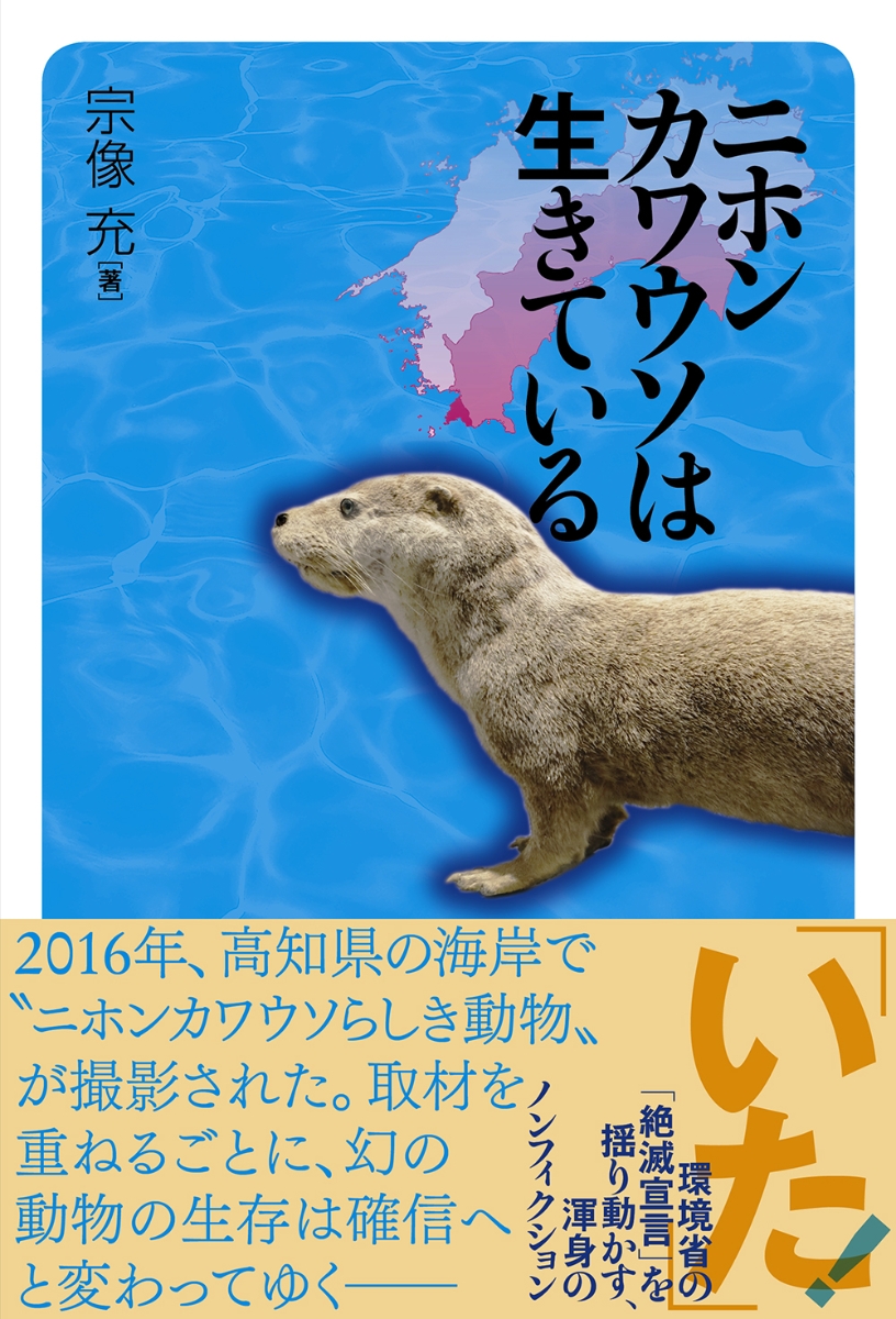 楽天ブックス: ニホンカワウソは生きている - 宗像充 - 9784845117253 : 本