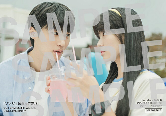 【楽天ブックス限定特典】haru*hana2024秋絶対ハマる！韓国エンタメ（仮）(「ソンジェ背負って走れ」生写真全2種よりランダムで1枚)