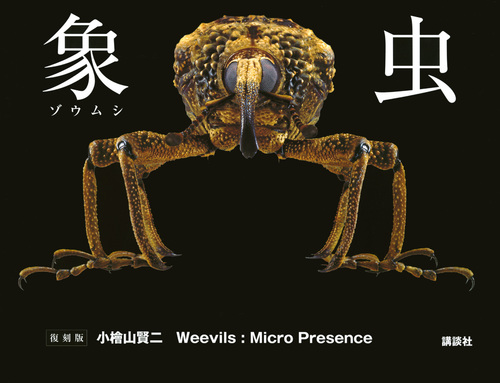 象虫　Weevils：Micro　Presence　復刻版画像