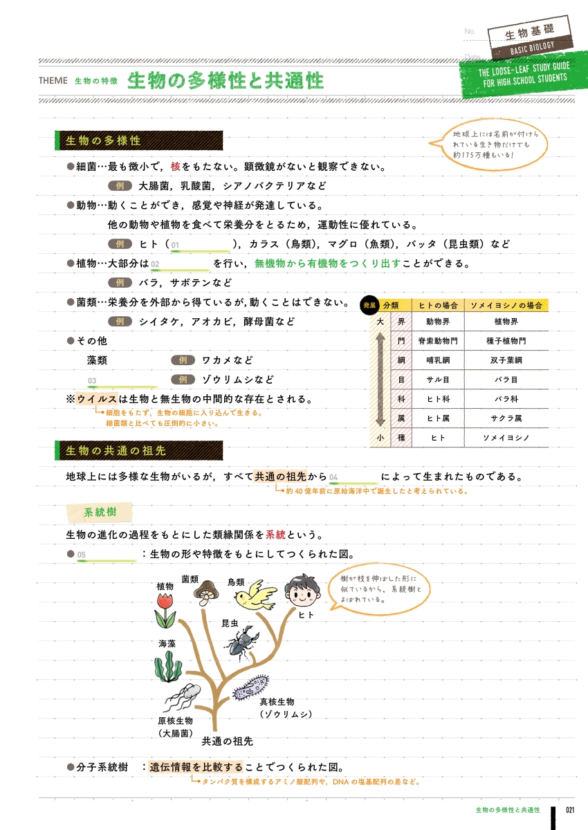 楽天ブックス 高校 生物基礎 学研プラス 本