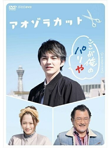 セール Dvd Netflixオリジナルドラマ 火花 Dvd Box 林遣都 店舗受取可 日本 Afols Pl