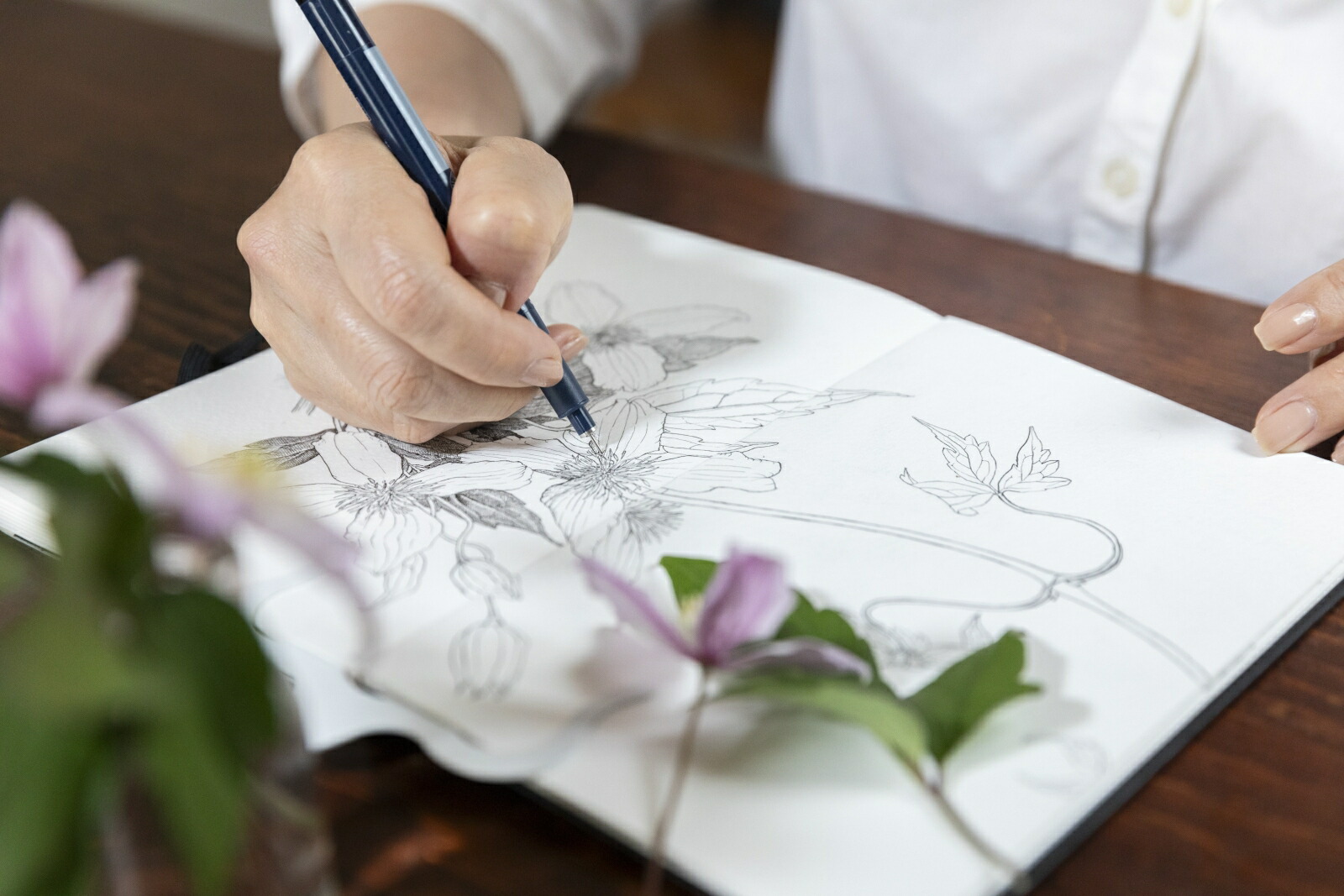 楽天ブックス: BOTANICAL DIARY ボタニカルダイアリーに「植物画」を描いて、楽しむ - 芝田美智子 ...