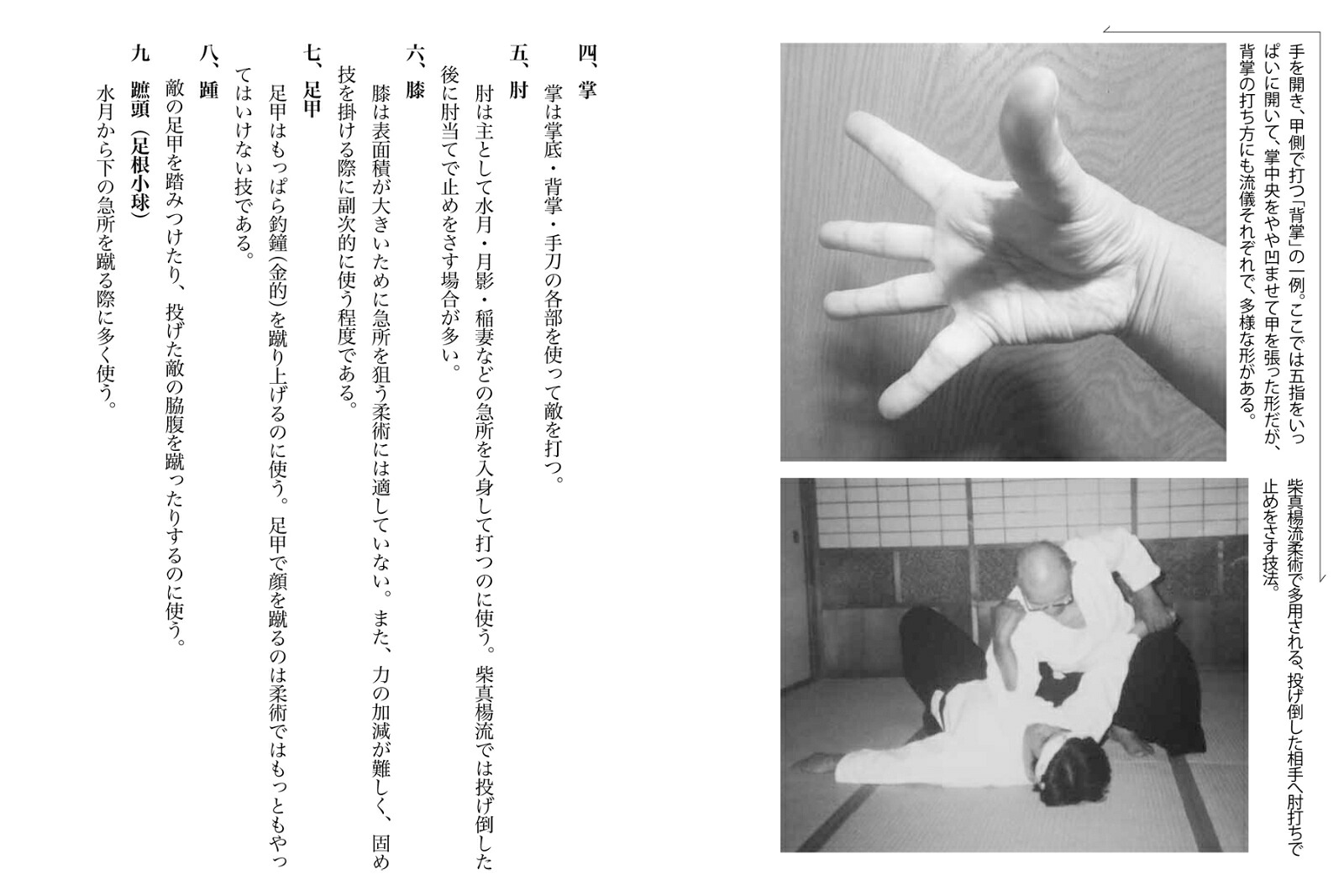 当身殺活術の極意古流柔術に伝わる秘伝打撃術[小佐野淳]