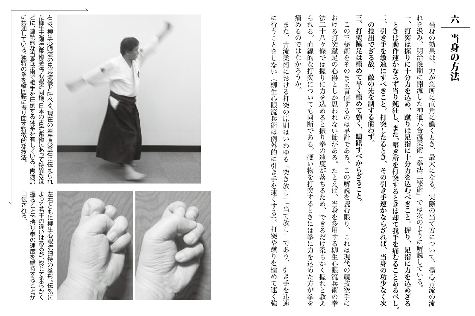 当身殺活術の極意古流柔術に伝わる秘伝打撃術[小佐野淳]