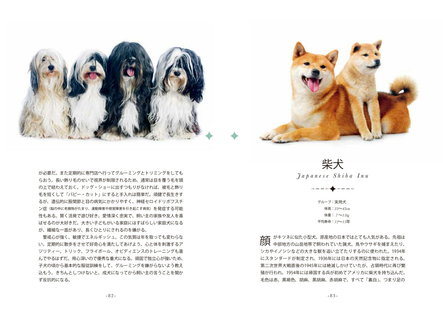 MyPictureBook�����Τ���[���ͥåȡ�����]