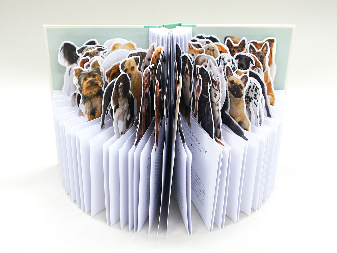 MyPictureBook�����Τ���[���ͥåȡ�����]