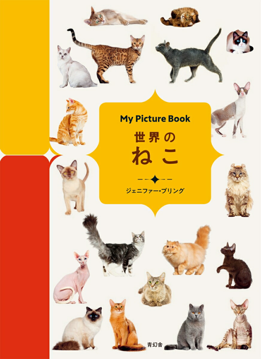 MyPictureBook�����Τͤ�[�����˥ե������ץ��]