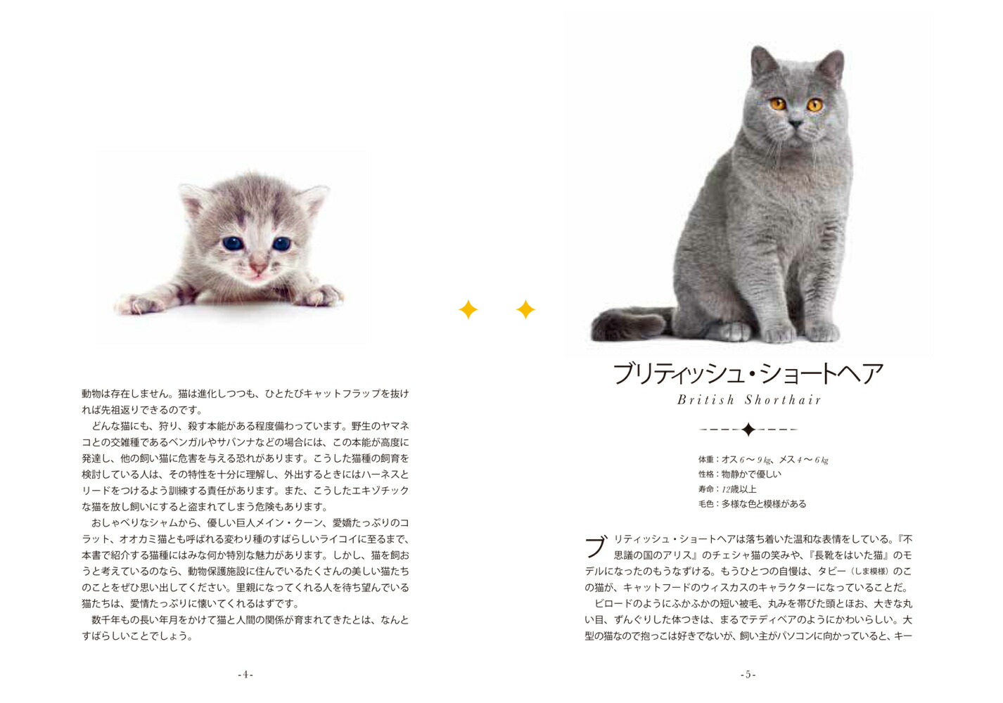 MyPictureBook�����Τͤ�[�����˥ե������ץ��]