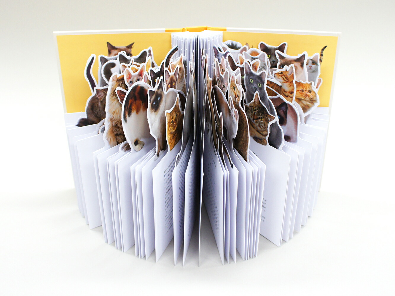 MyPictureBook�����Τͤ�[�����˥ե������ץ��]