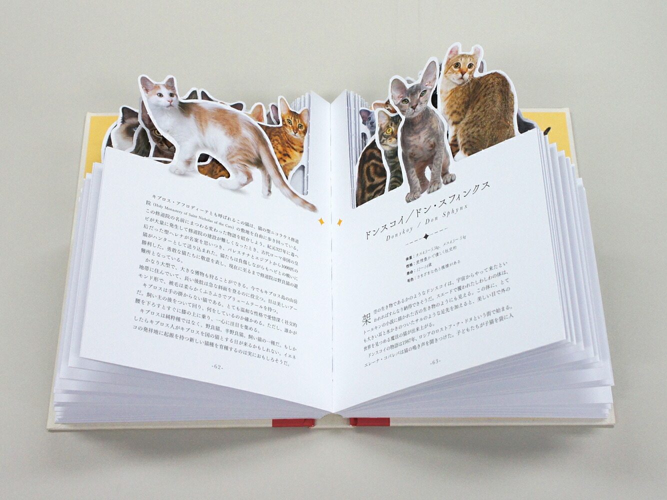 MyPictureBook�����Τͤ�[�����˥ե������ץ��]