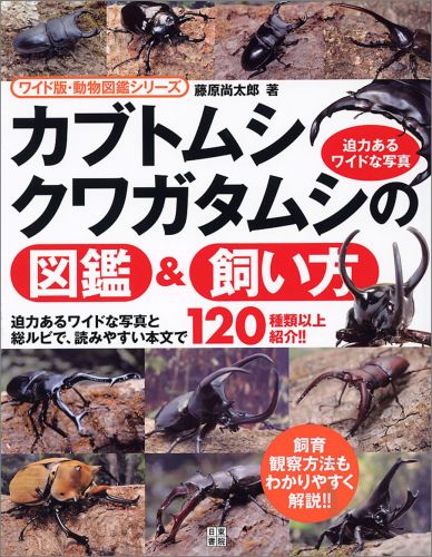 楽天ブックス カブトムシ クワガタムシの図鑑 飼い方 藤原尚太郎 本