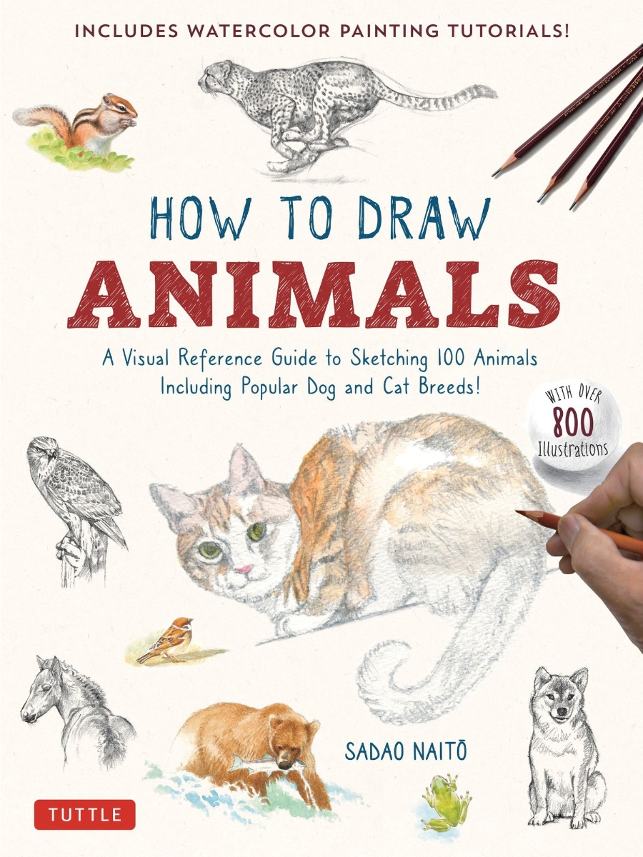 How to Draw Animals画像