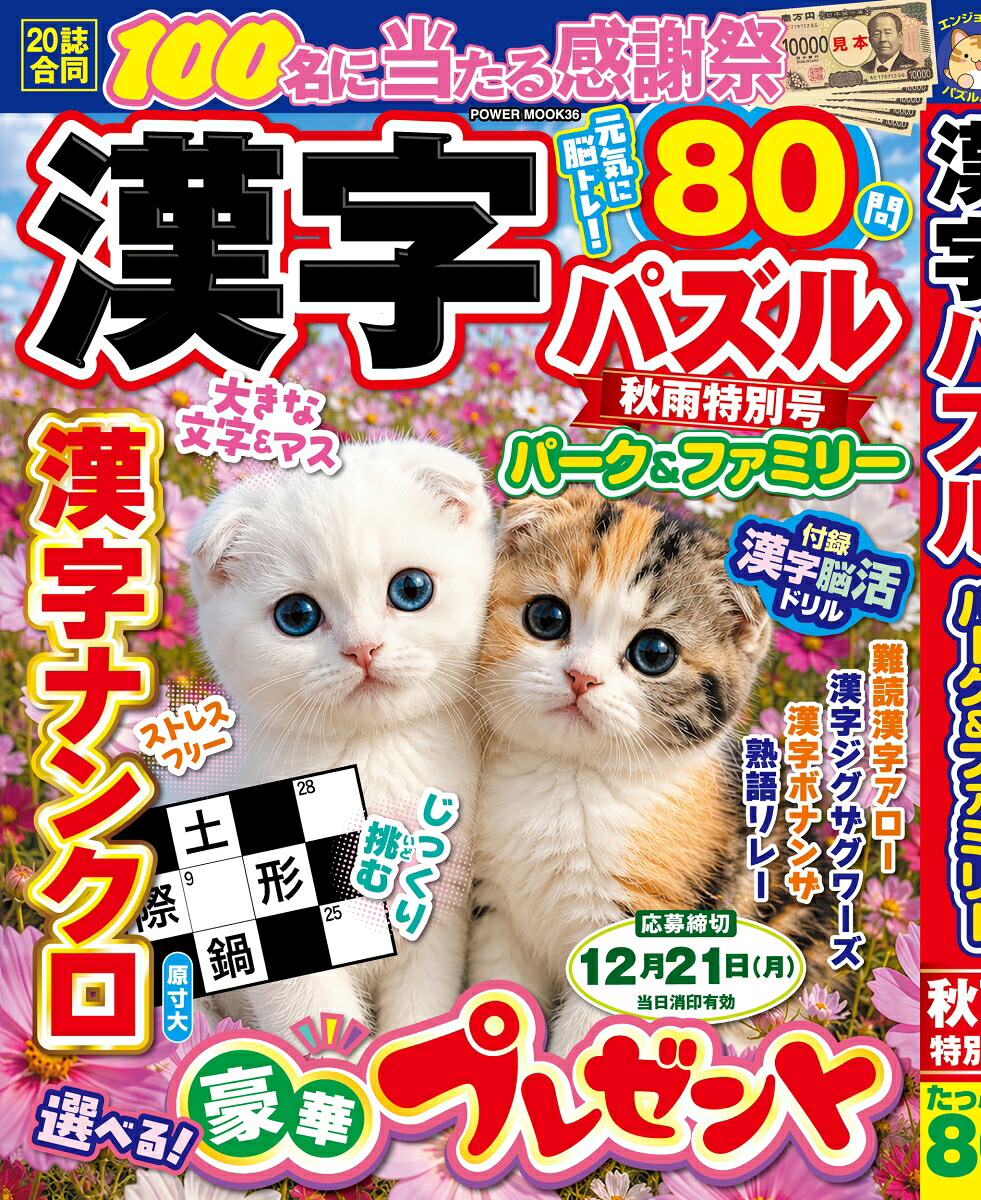 漢字パズルパーク＆ファミリー秋雨特別号（POWERMOOK）