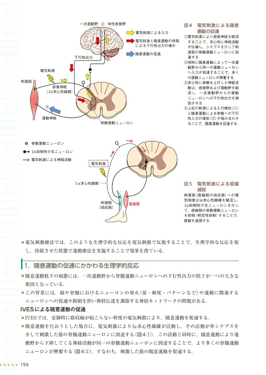 楽天ブックス 物理療法学 烏野大 本