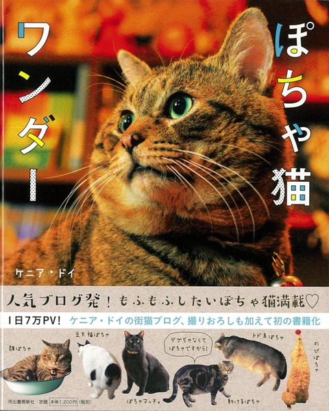 楽天ブックス バーゲン本 ぽちゃ猫ワンダー ケニア ドイ 本